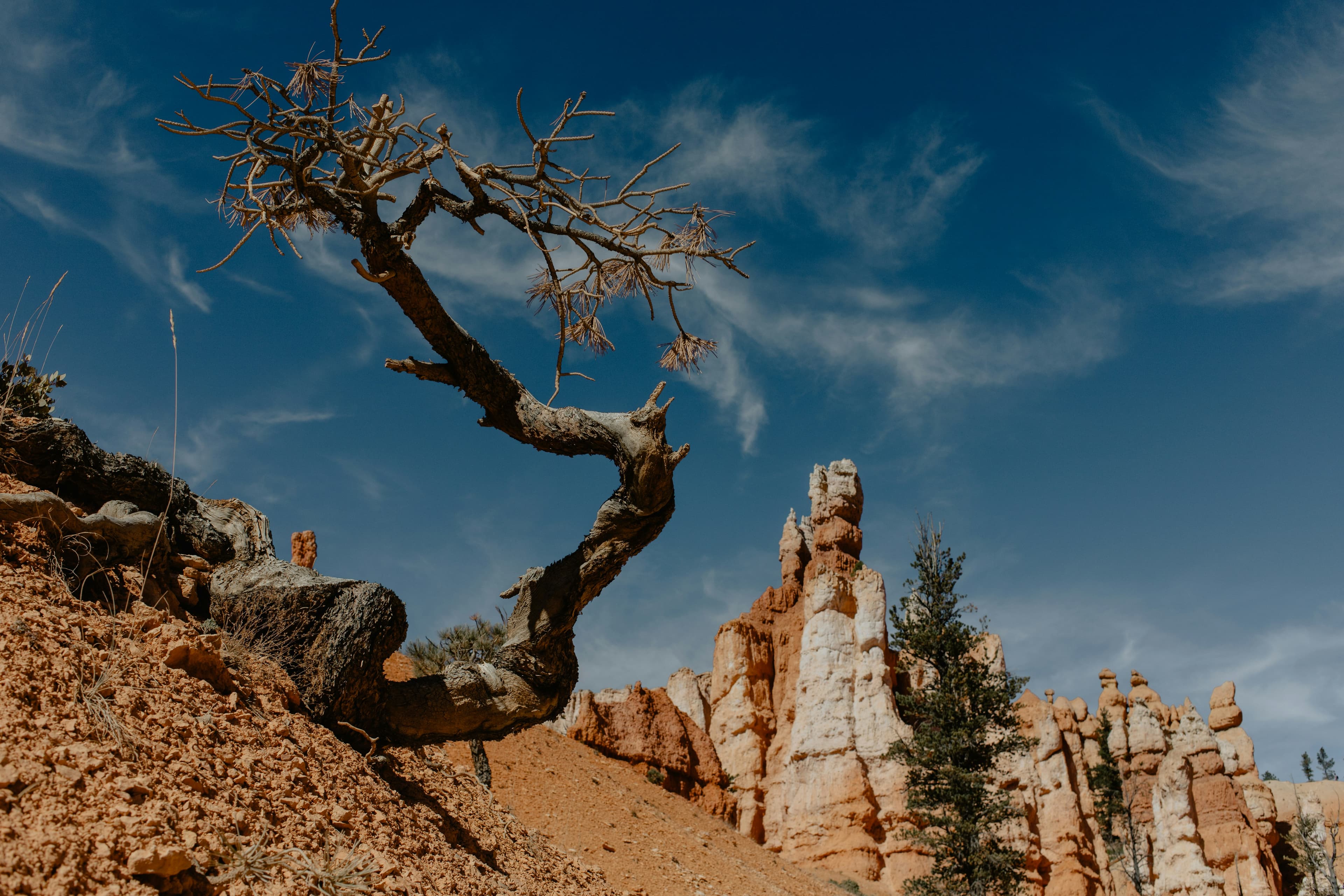 I'm Qianyong (Harry) Zhang.-image